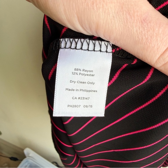 Talbots Black and Pink Striped Long Sleeve Dress - Picture 11 of 13